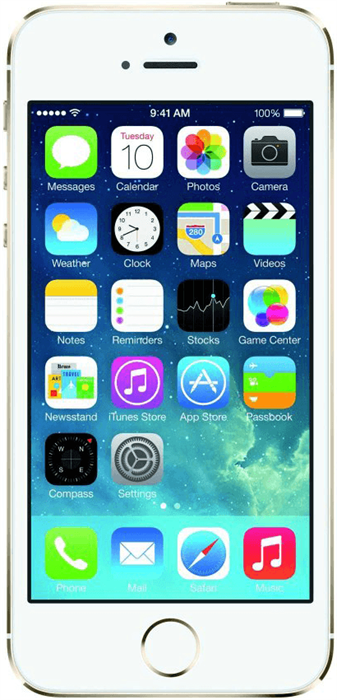 Apple iPhone 5S 32GB Gold - фото 3902